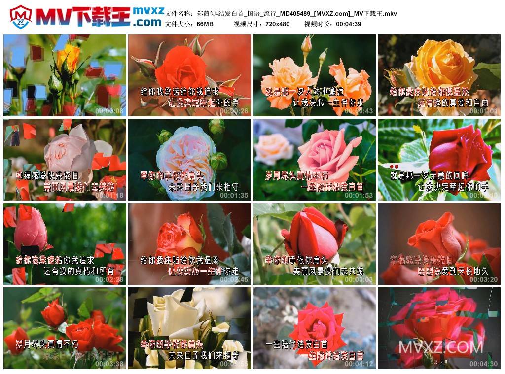 郑茜匀-结发白首_国语_流行_MD405489